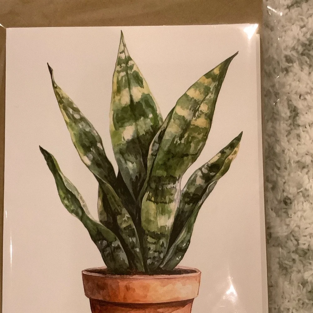 Green Plants Watercolor Variety Note Cards Set of Six NWT 4.25x5.5” - Picture 3 of 13